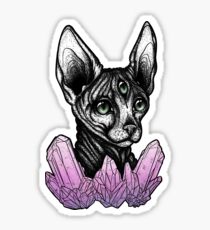 Galaxy Kat II Sticker