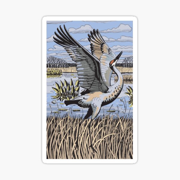 Item preview, Sandhilll Crane at Payne's Prairie, Color designed and sold by Tim Treadwell.