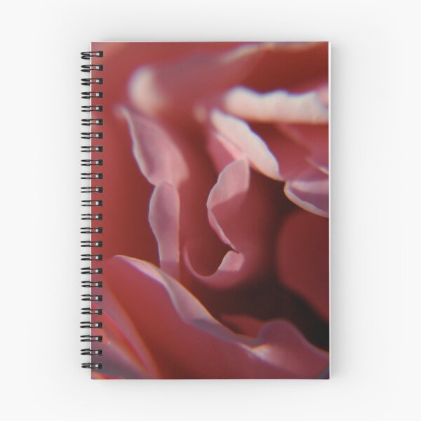 Item preview, Sous les jupes de Rose / Under the skirts of Rose designed and sold by Marie Goursolas.