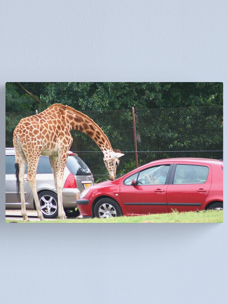 Alternate view of Carwash Canvas Print
