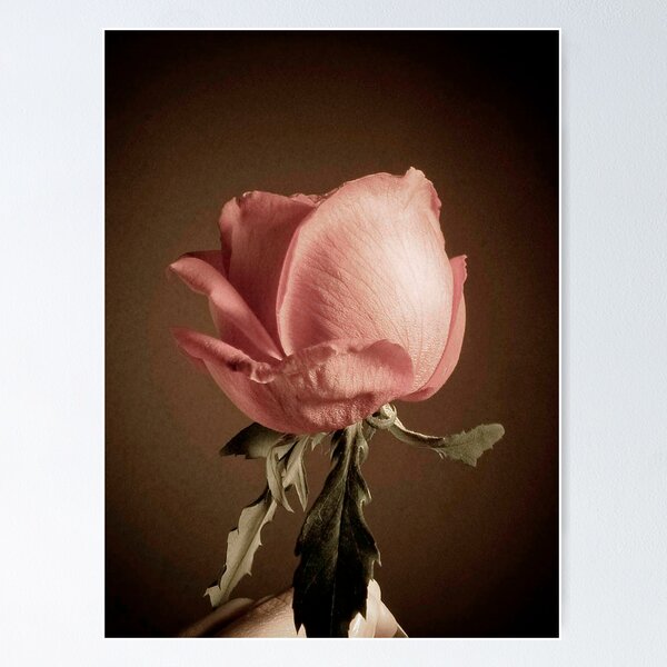 Thank You For Being You.. Poster