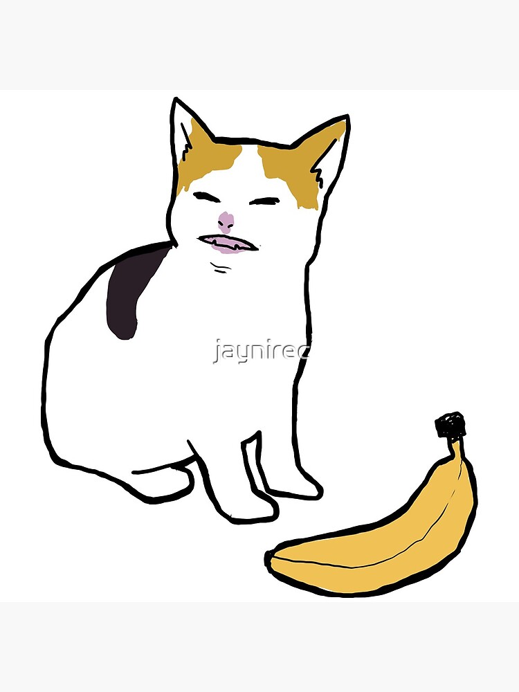 "cat no banana" Art Print for Sale by jaynirec Redbubble