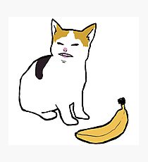 cat no banana Photographic Print
