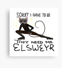 Elsweyr no.black Canvas Print