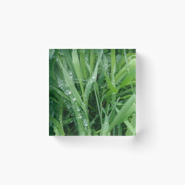 Item preview, Grass after the rain designed and sold by svehex.
