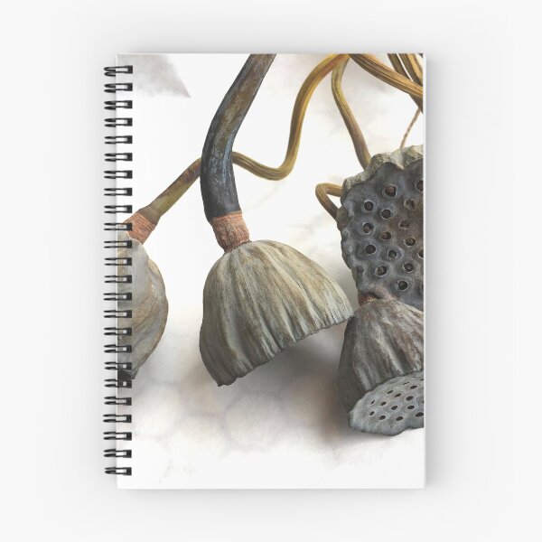 Item preview, Lotus Pods designed and sold by Barbara E Wyeth.
