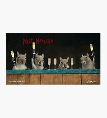 Will Bullas print / Squirrel's night out... Photographic Print