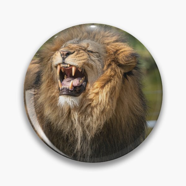 Item preview, Close-up on a Lion's head designed and sold by Marcu Ioachim.