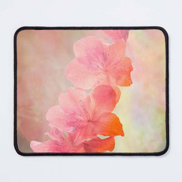 Item preview, Apricot Azaleas designed and sold by Kath Gillies.