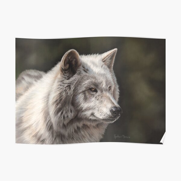 Hudson Bay Wolf Poster