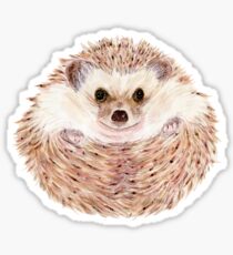 Hedgehog Sticker