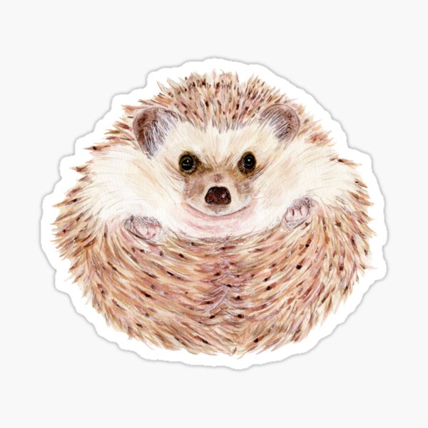 Landscape Details about   Trendy Best Hedgehog Mom World's Sticker Landscape Sticker 