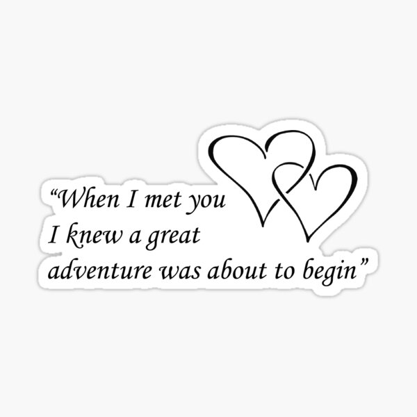 When I met you I knew a great adventure was about to begin Sticker