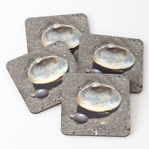 Item preview, shell and pebble designed and sold by KathleenDawson.