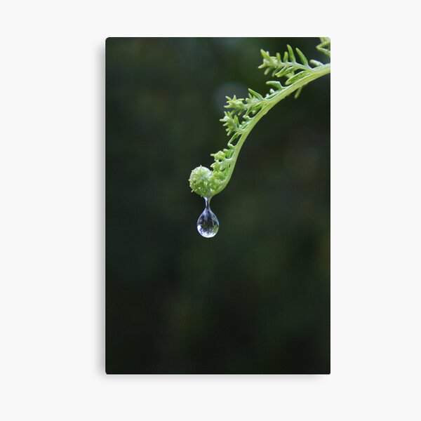 Item preview, Drop designed and sold by AnnaKT.