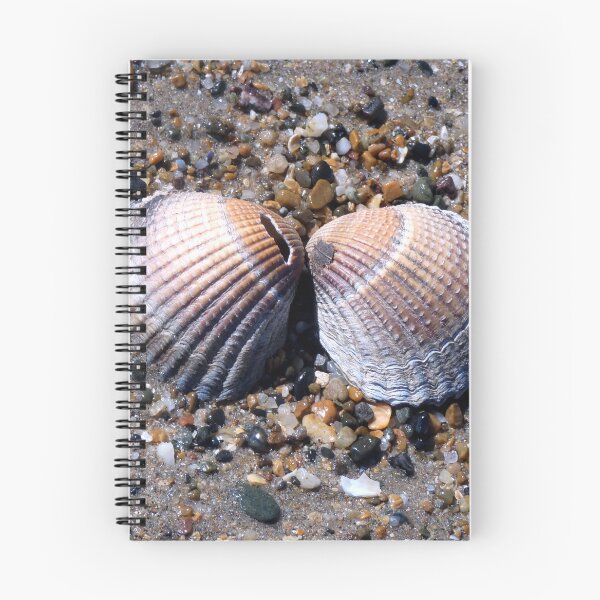 Item preview, shell  designed and sold by KathleenDawson.