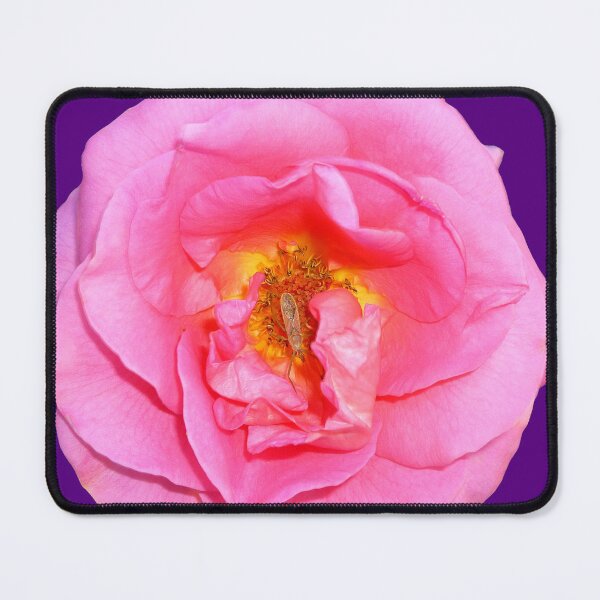Item preview, 125542172 designed and sold by RealFlower.