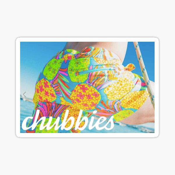 Chubbies Box Logo Sticker