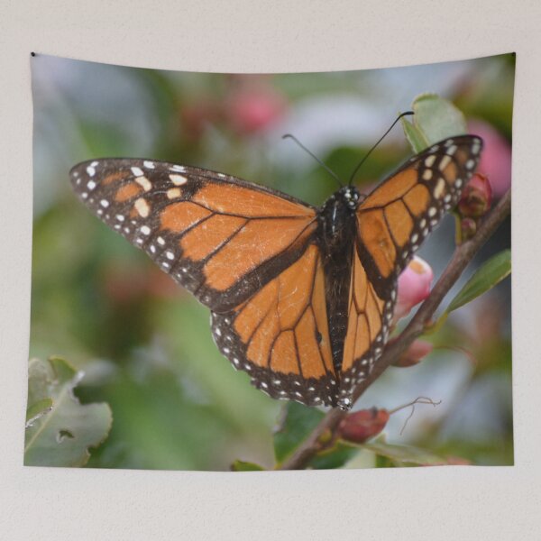 Item preview, Monarch on the Camellia designed and sold by lizdomett.