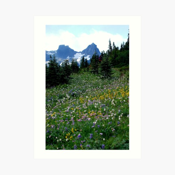 The Mountain Garden Art Print