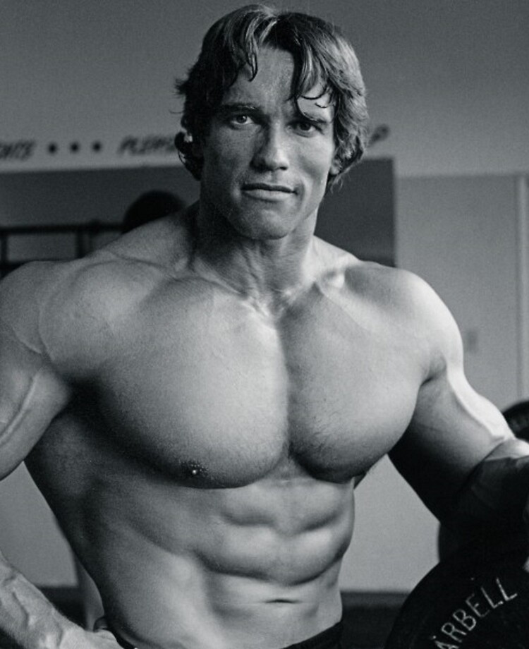 Arnold Schwarzenegger Ipad Case Skin By Balzac Redbubble Images, Photos, Reviews