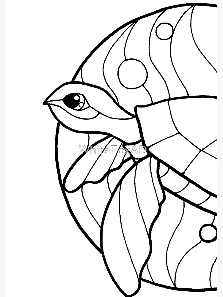 Honu Coloring Pages: Hawaiian Honu Turtles Coloring Page Printable Coloring Page