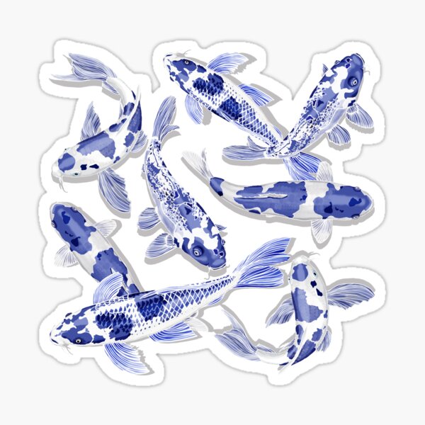Blue and white Koi fish Sticker