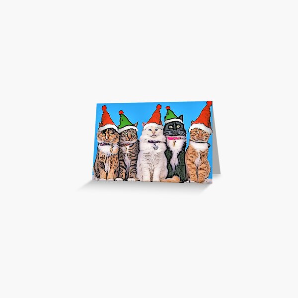 Jingle Cats Greeting Card