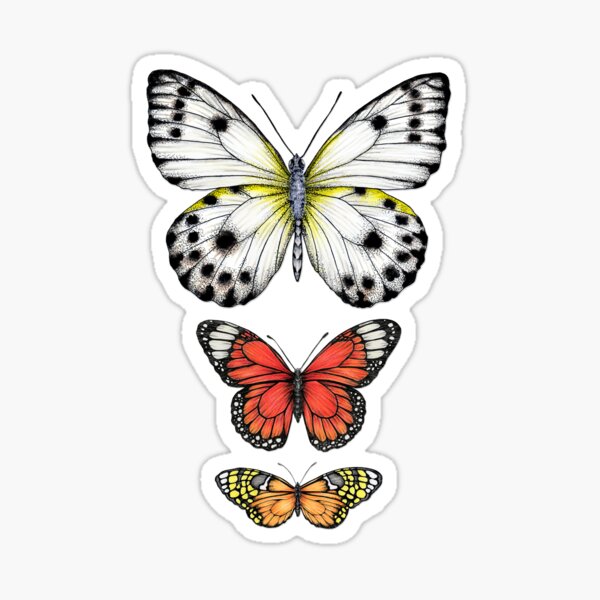 Item preview, Affiche vintage papillon lépidoptère sans texte designed and sold by PetitMartin.