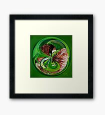 Cornsilk Framed Print