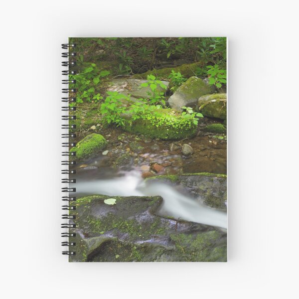 Small Pleasures Spiral Notebook