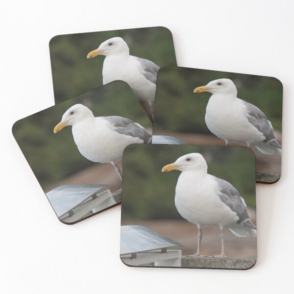 Item preview, Glaucous Winged Gull designed and sold by LaurenTucker.
