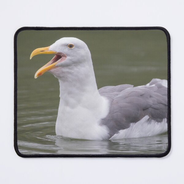 Item preview, Western Gull designed and sold by LaurenTucker.
