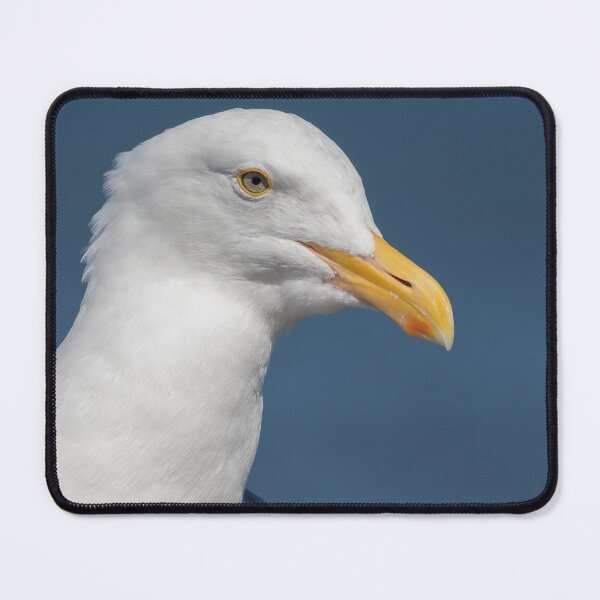 Item preview, Western Gull designed and sold by LaurenTucker.