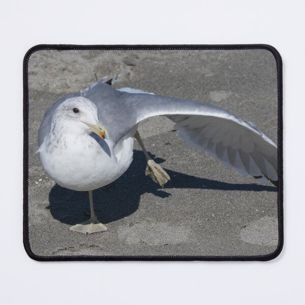 Item preview, California Gull designed and sold by LaurenTucker.