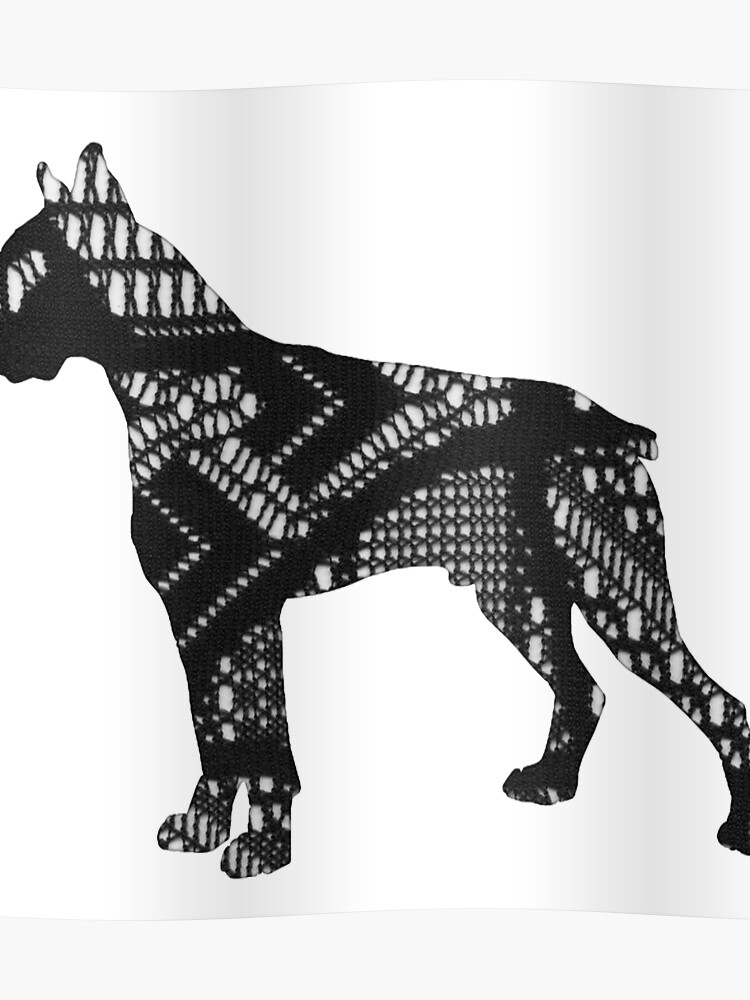Schwarz Weiß Muster Hund