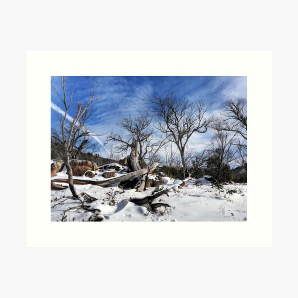 Item preview, Barren designed and sold by Raquel O'Neill.
