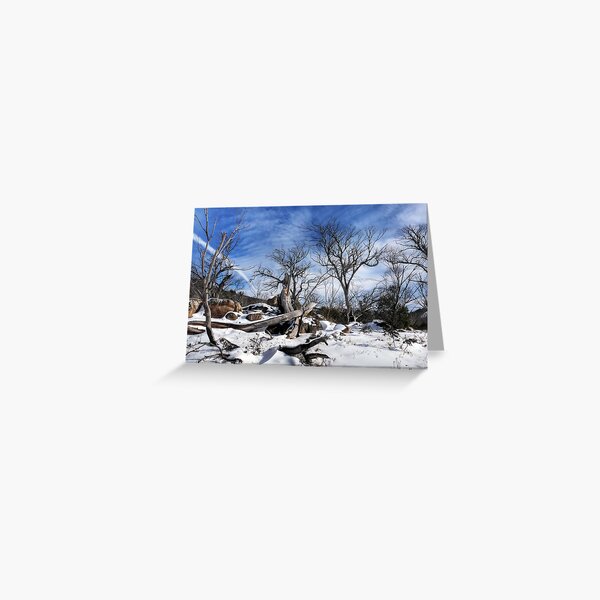 Item preview, Barren designed and sold by Raquel O'Neill.