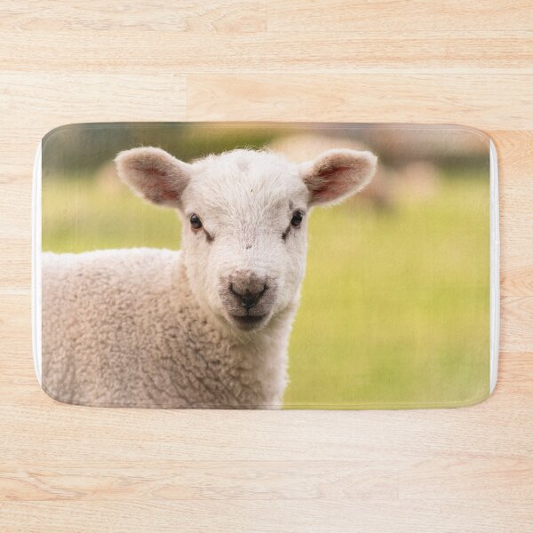 Item preview, Look of innocence designed and sold by Mike Cave.
