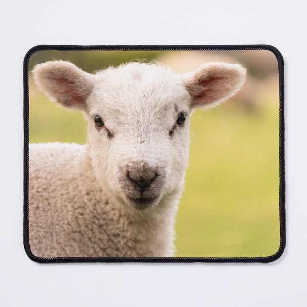 Item preview, Look of innocence designed and sold by Mike Cave.