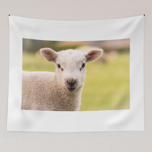 Item preview, Look of innocence designed and sold by Mike Cave.
