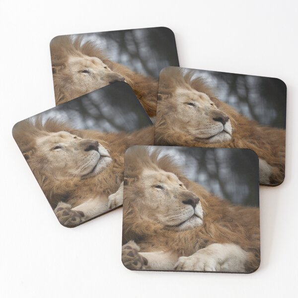 Item preview, Lion at Hunter Valley Zoo designed and sold by Mathew Courtney.