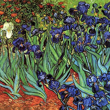 Artwork thumbnail, 'Blue Irises' by Vincent Van Gogh (Reproduction) by Classic Visions Gallery