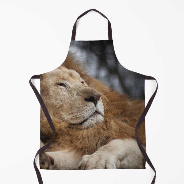 Item preview, Lion at Hunter Valley Zoo designed and sold by Mathew Courtney.