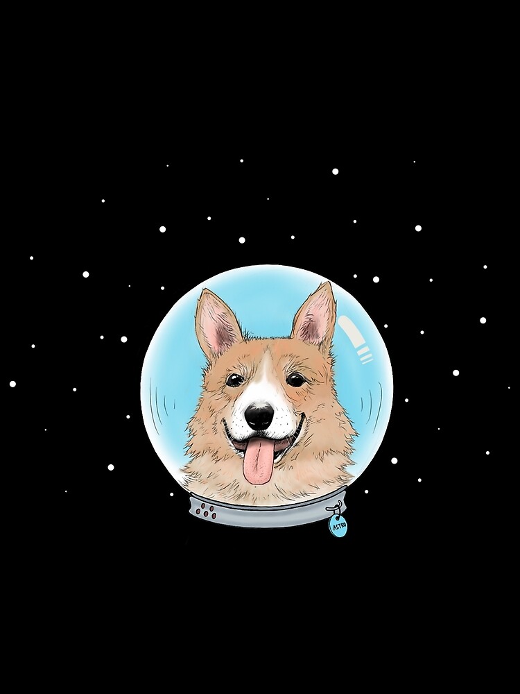 corgi in space shirt