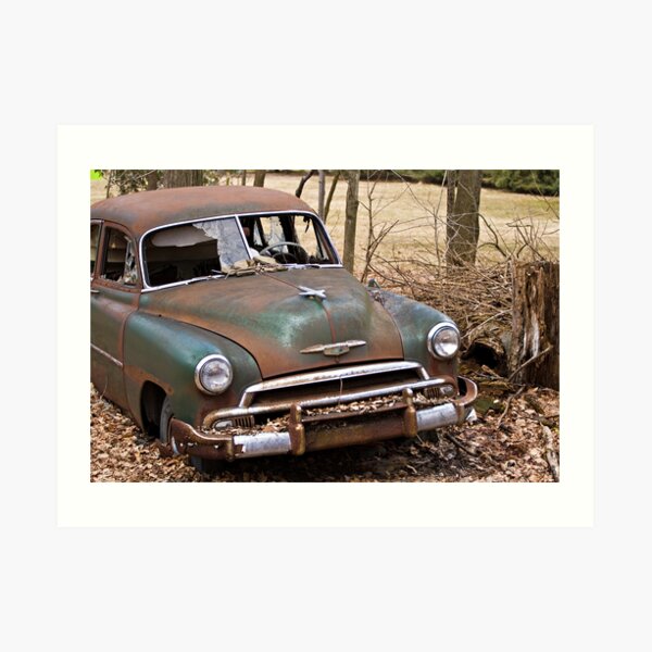 Put Out To Pasture Art Print