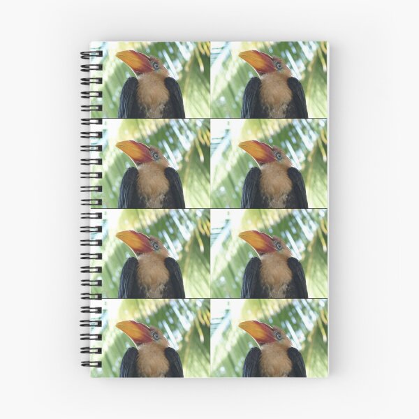 Item preview, Toucan designed and sold by Merlinatia.