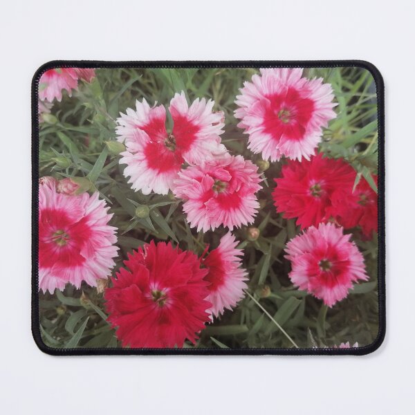 Item preview, Declination of pink designed and sold by Merlinatia.