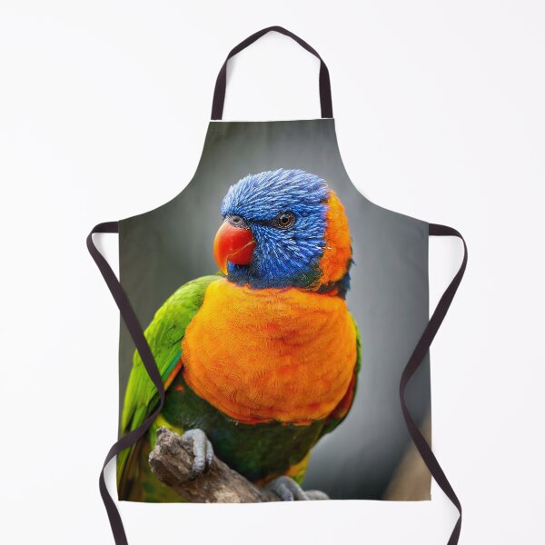 Item preview, Rainbow Lorikeet designed and sold by Mathew Courtney.