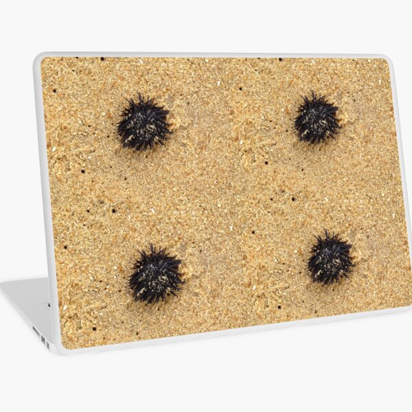Urchin. Black urchin Laptop Skin